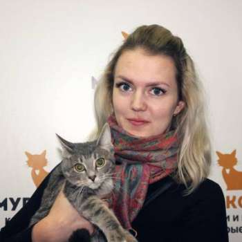 Тикки