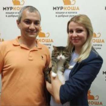 Сандрик