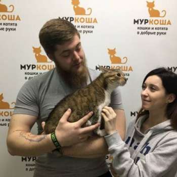 Астерикс