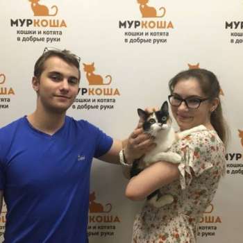 Шуня