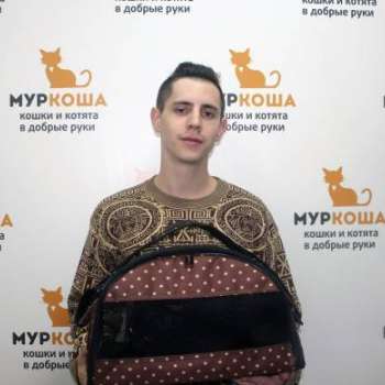 Джани