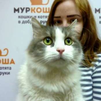 Черчилль