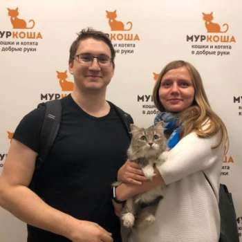 Нефриса