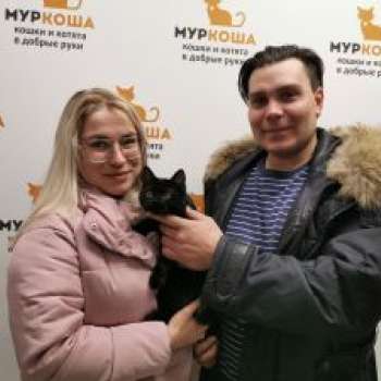 Стинг