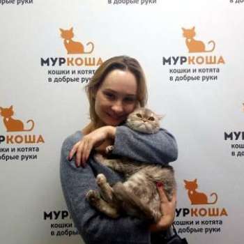 Николетта