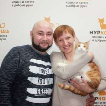 Пармезан