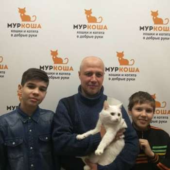Альбина