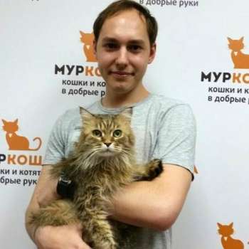 Пуля