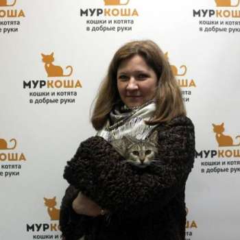 Сардинка