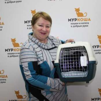 Сова