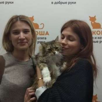 Арабеска