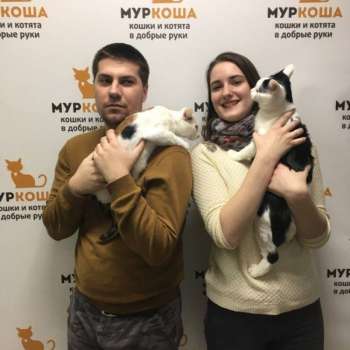 Миннесота