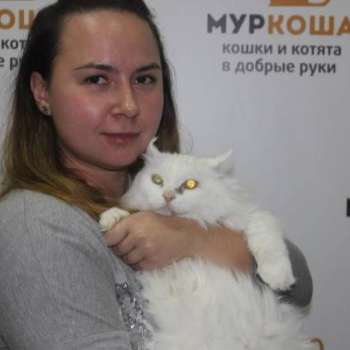 Лиза