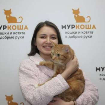 Джонси