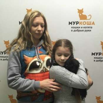 Сумрак