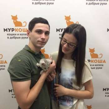 Джумана