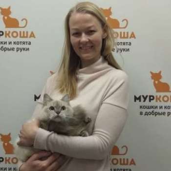 Ася