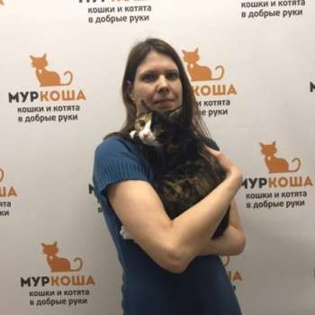 Фрэнки