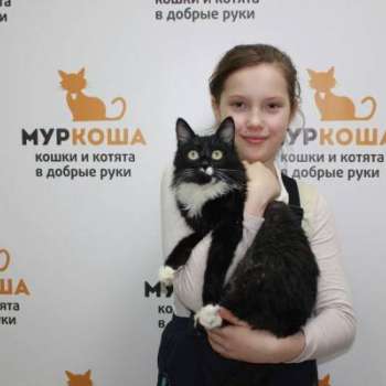 Ёлочка