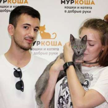 Клепа