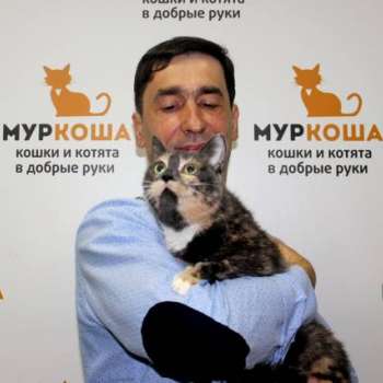 Лав