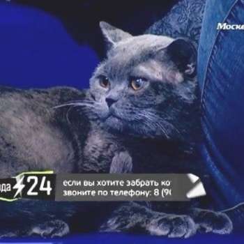 Матвей