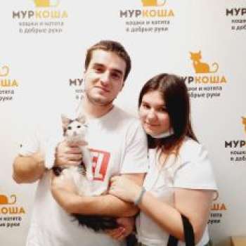 Паинька