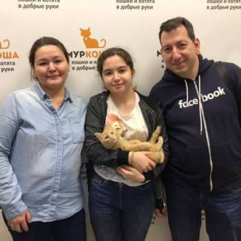 Оладушка