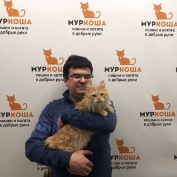 Валлетта