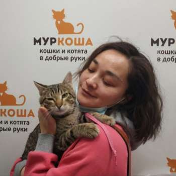 Баксик