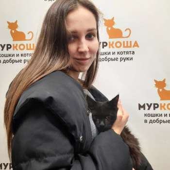 Басик