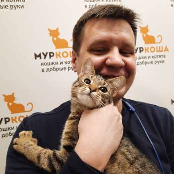 Брюковка