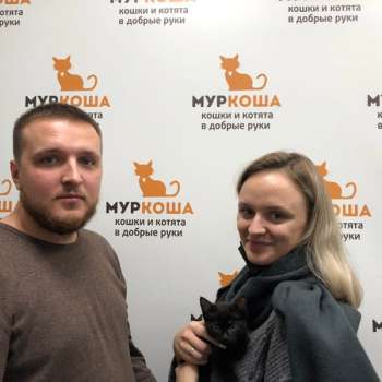 Чанга 