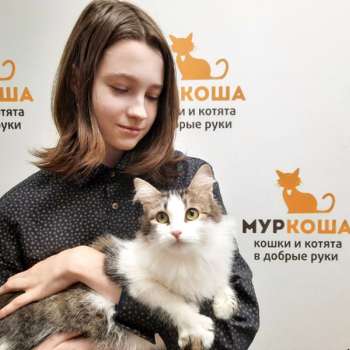 Дадди