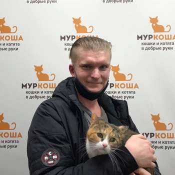 Дашута