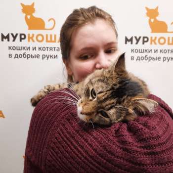 Демид