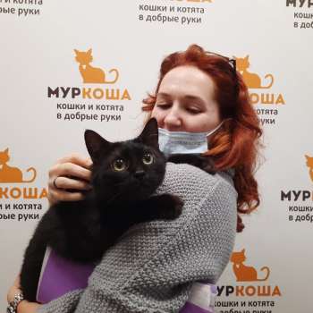 Фандорин
