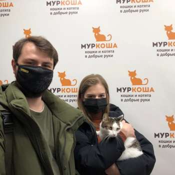 Фелисити
