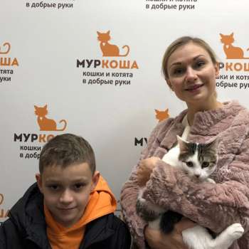 Фитиль