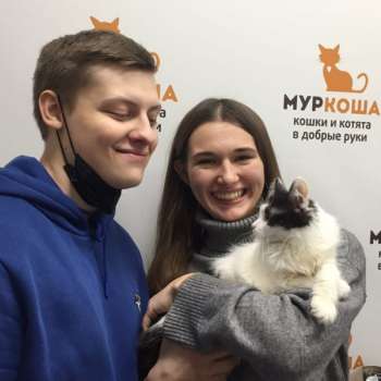 Фрезия