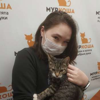 Гавана