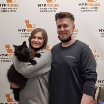 Гризли