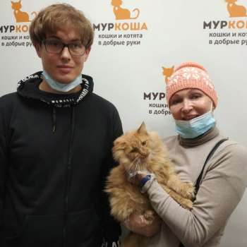 Гусляр