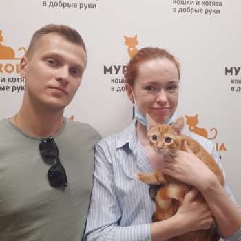 Инвайт