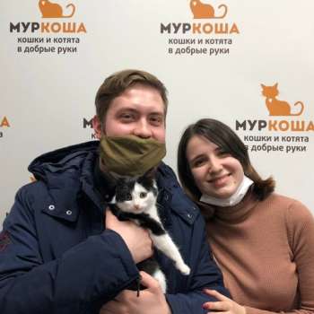 Катриша