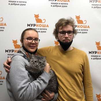 Харлей