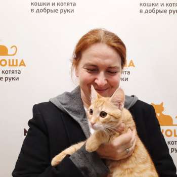 Хемингуэй