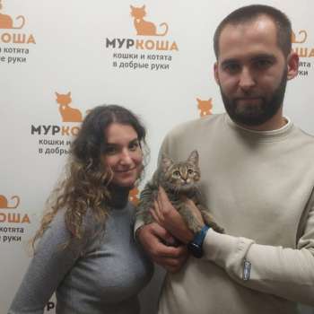 Кимчи