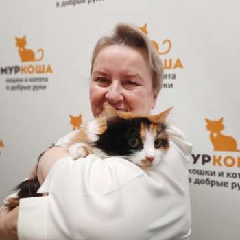 Кливия
