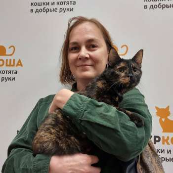 Кочерыжка